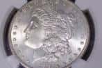 Collectible silver coin